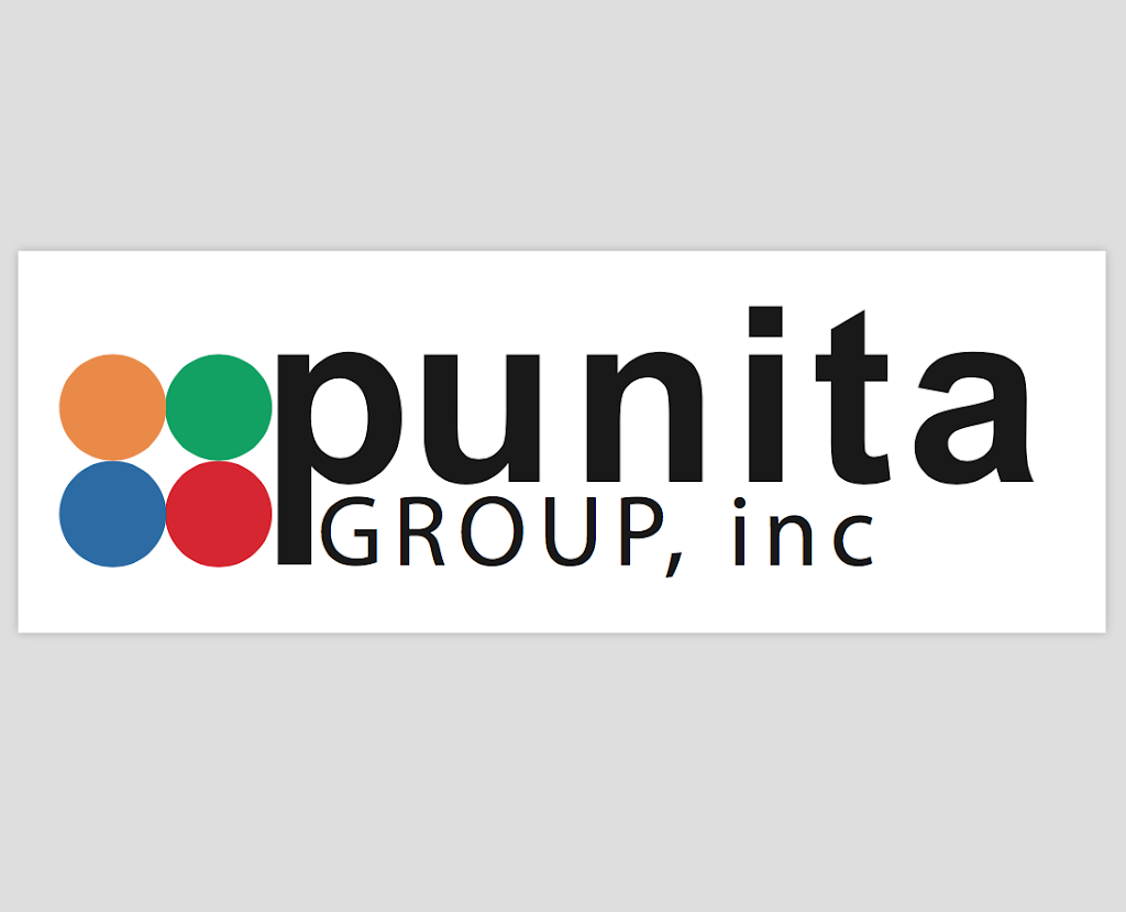 Punita Group Inc. | 42618 Trade W Dr, Sterling, VA 20166, USA | Phone: (703) 961-9350