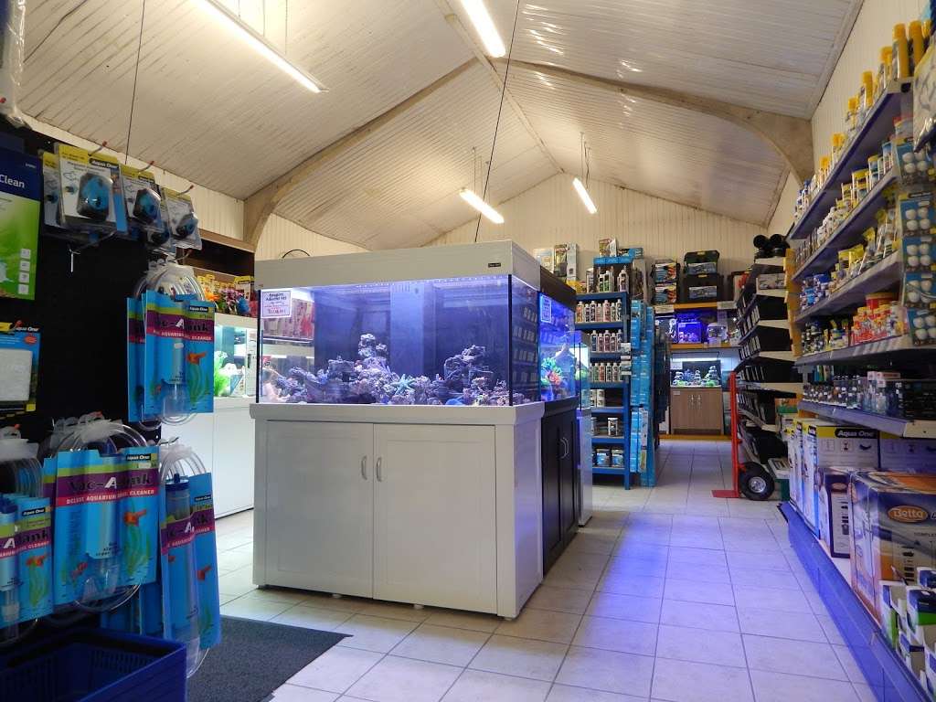 Pelagic Aquatics | Maidstone Rd, Matfield, Tonbridge TN12 7HA, UK | Phone: 01892 824000