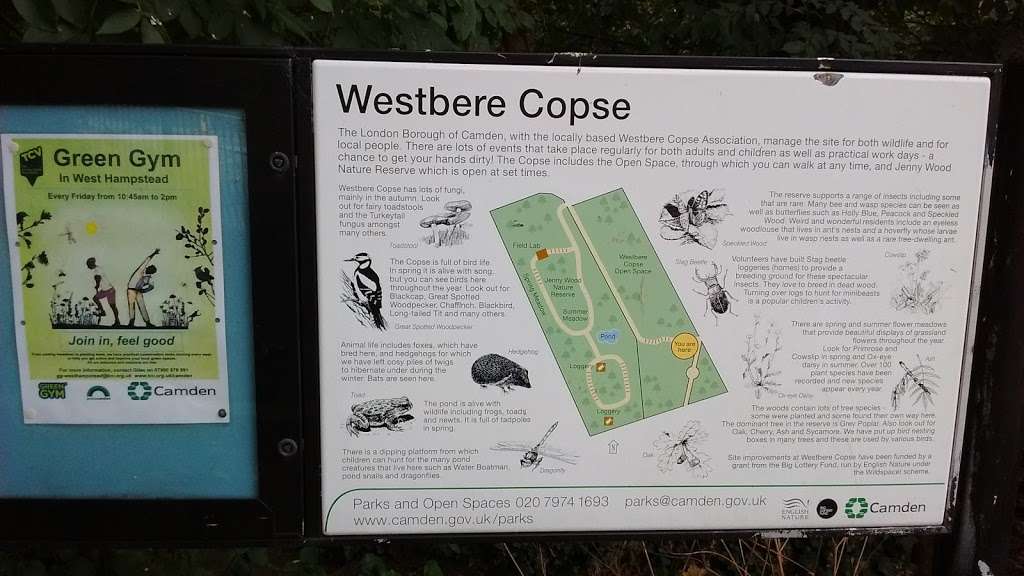 Westbere Copse | 48 Westbere Rd, London NW2 3RU, UK | Phone: 020 8444 6285