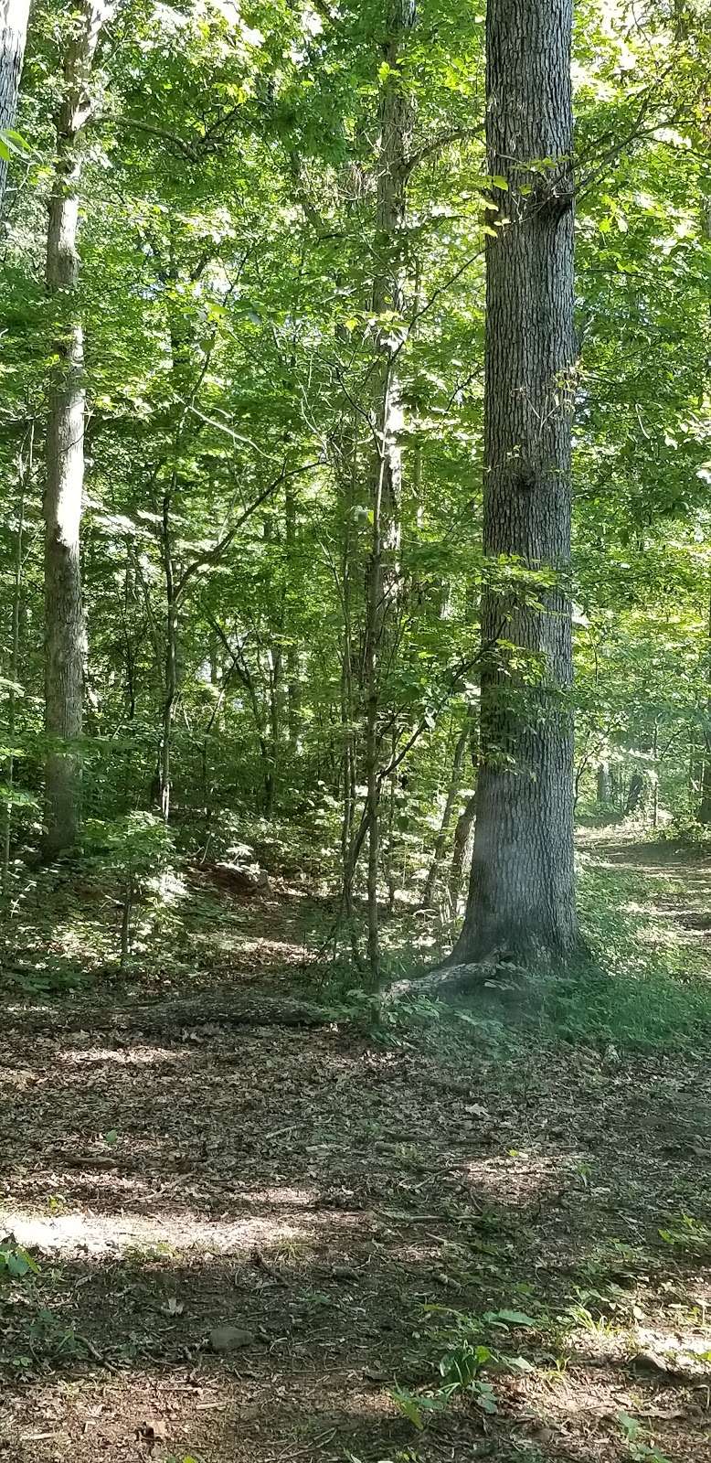 Pinchot Park Conewago Day Use Area | Lakeside Trail, Wellsville, PA 17365, USA