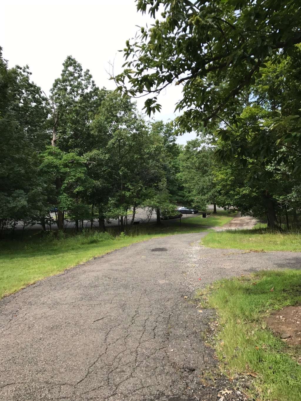 Mountain top view | Rifle Camp Rd, Woodland Park, NJ 07424, USA