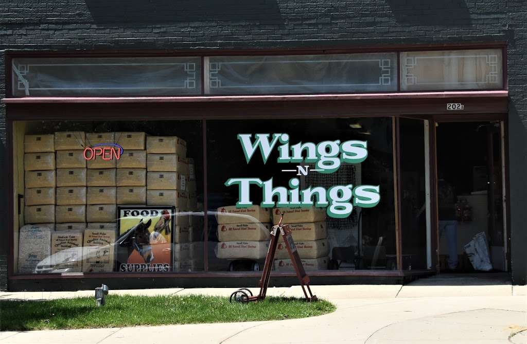 Wings-N-Things | 202 W Main St, Palmyra, WI 53156, USA | Phone: (262) 495-2707