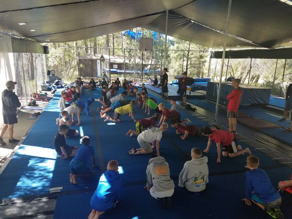 Pommel Horse Ranch Camp | 3137 S Orange Cir #8312, Mesa, AZ 85210, USA | Phone: (602) 770-7911