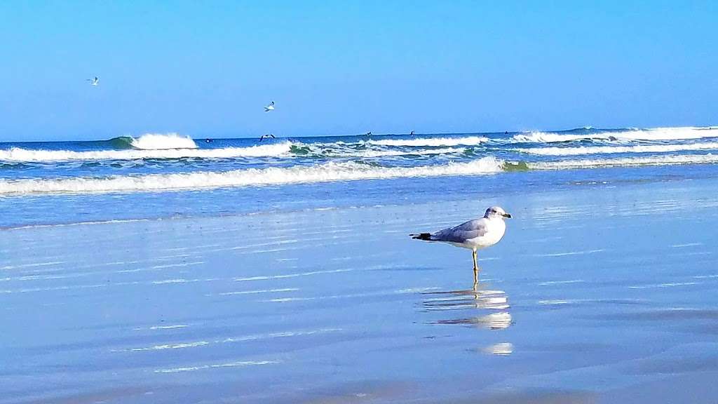 Smyrna Beach | Smyrna Dunes Park, New Smyrna Beach, FL 32169, USA