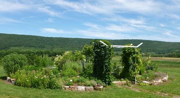 Quail Hollow Farm Herbs & Flowers | 5285 Highland Ridge Rd, Berkeley Springs, WV 25411, USA | Phone: (304) 258-0584