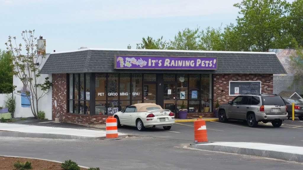 Its Raining Pets Inc | 3 Bridge St, Salem, MA 01970, USA | Phone: (978) 745-2358