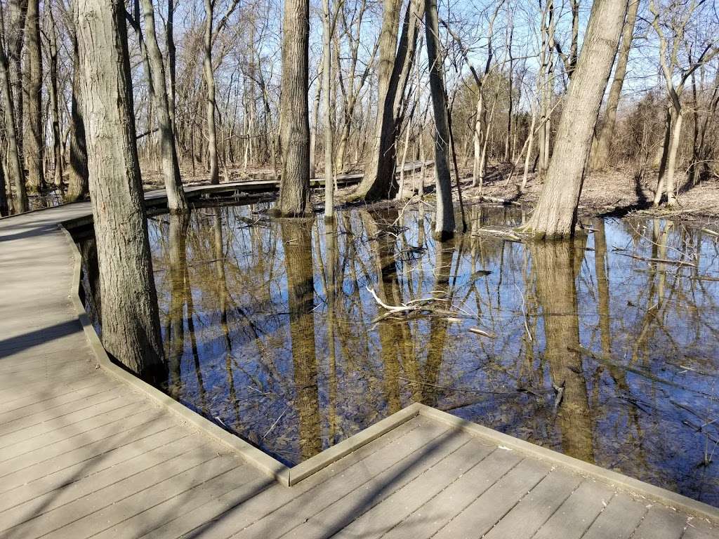 Ritchey Woods Nature Preserve | 10410 Hague Rd, Fishers, IN 46038, USA | Phone: (317) 595-3150