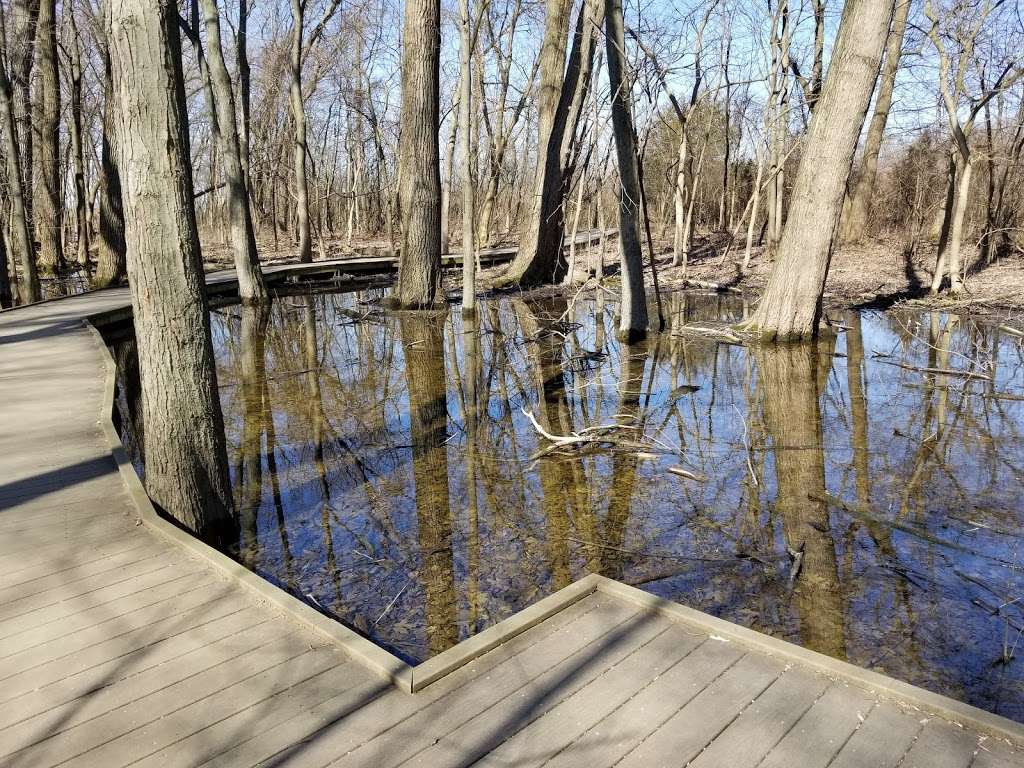 Ritchey Woods Nature Preserve | 10410 Hague Rd, Fishers, IN 46038 | Phone: (317) 595-3150