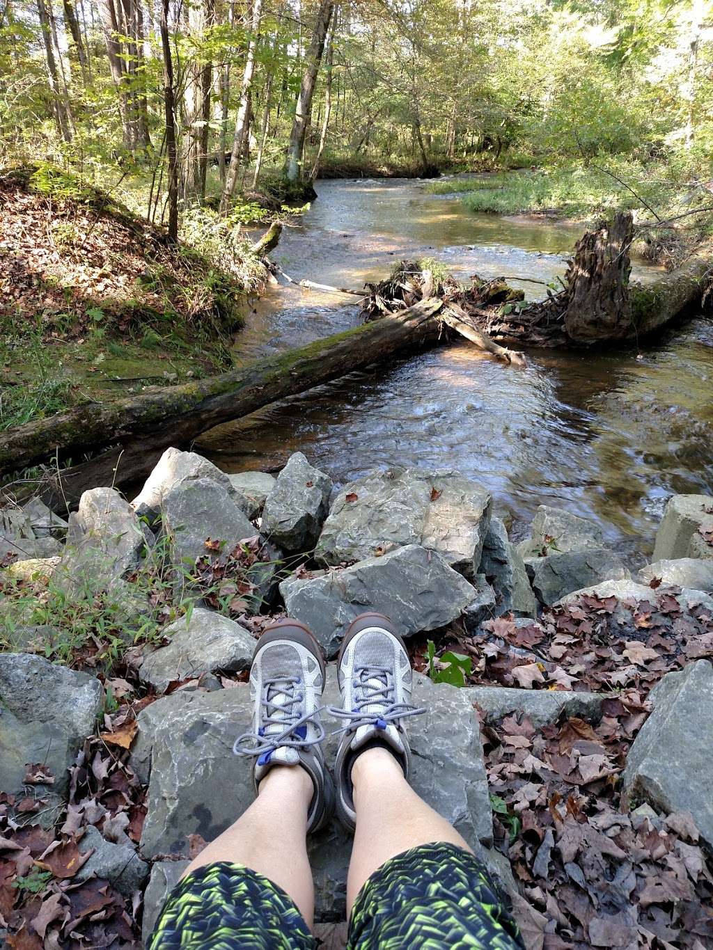 Plainfield Township Trail #2 | Merwarth Rd, Pen Argyl, PA 18072, USA