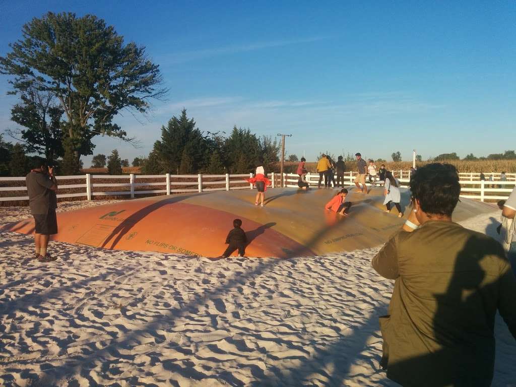 Temple Hall Fall Festival & Corn Maize | 15855 Limestone School Rd, Leesburg, VA 20176 | Phone: (703) 779-9372