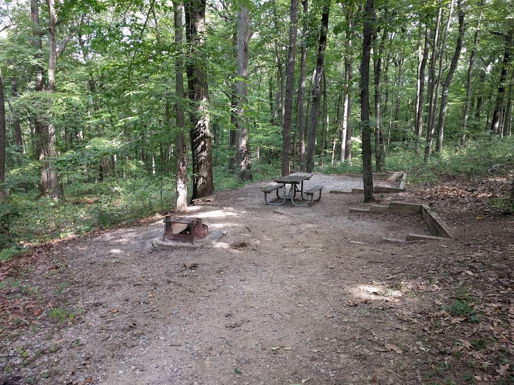 Voorhees State Park | 251 County Road Route 513, Glen Gardner, NJ 08826 | Phone: (908) 638-6969