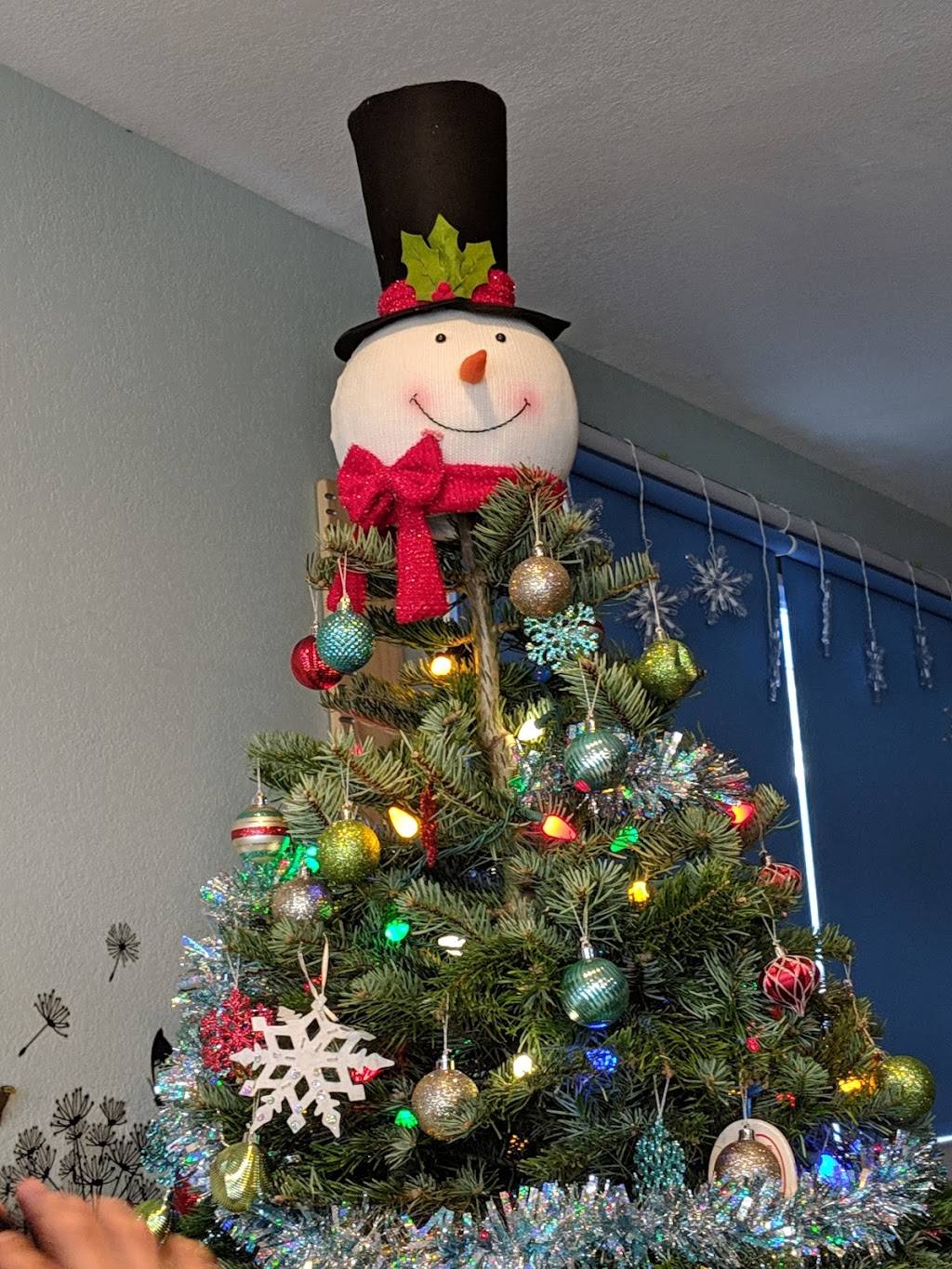 Territo’s Christmas Trees | 5285 Snell Ave, San Jose, CA 95136, USA | Phone: (408) 781-3003