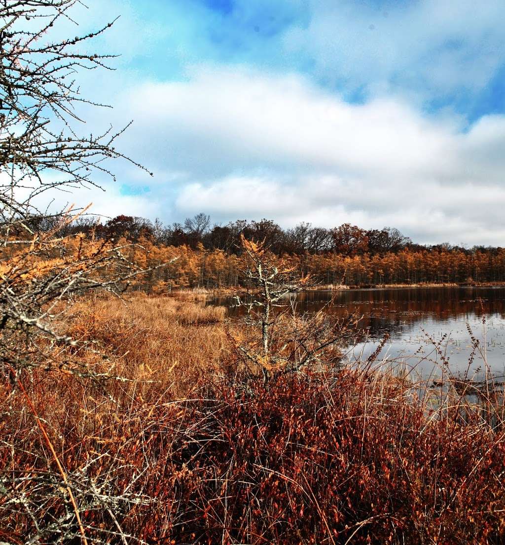 Beulah Bog State Natural Area | Stringers Bridge Rd, East Troy, WI 53120, USA | Phone: (608) 266-0394