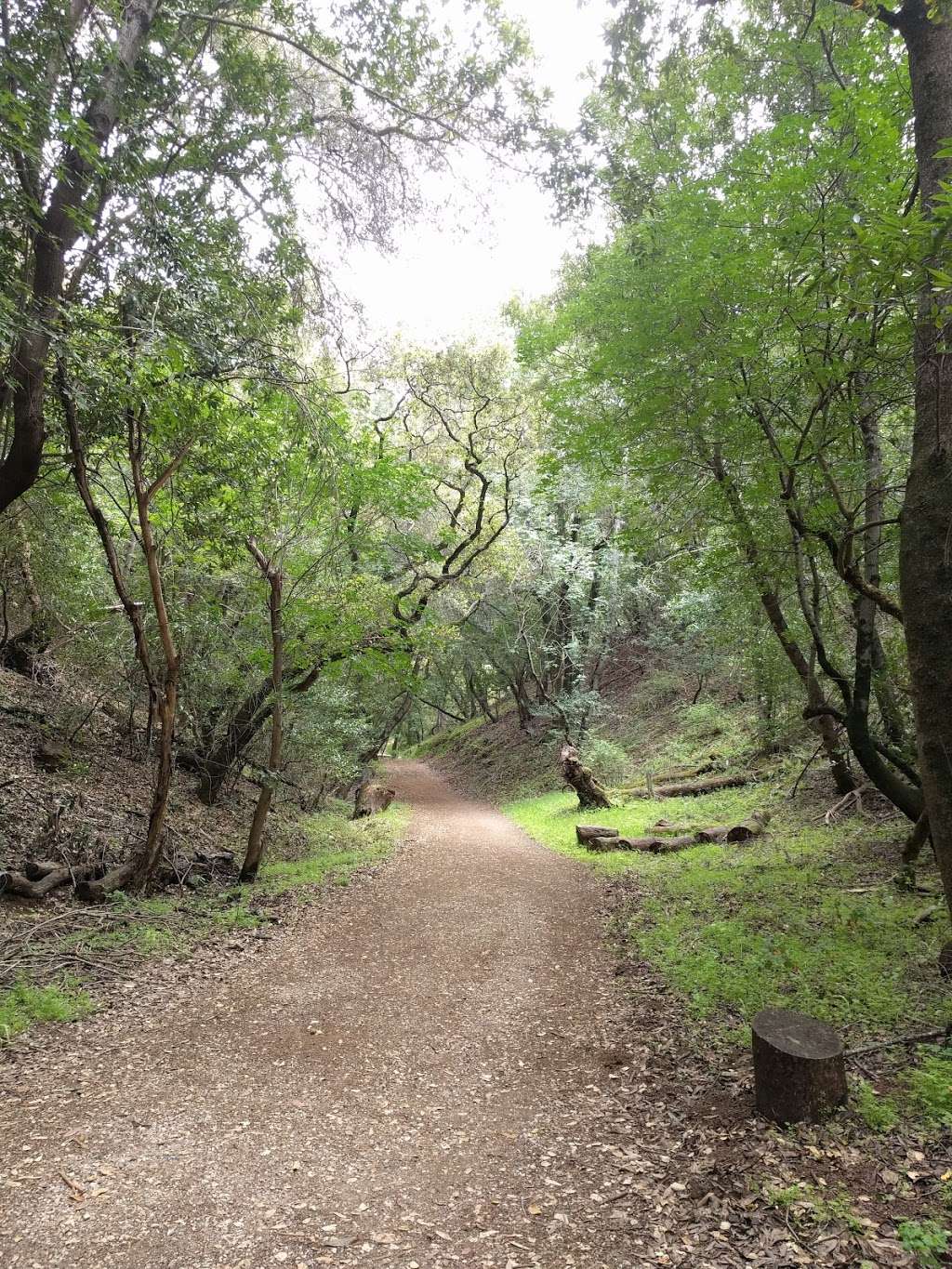 Rhus Ridge Trailhead | Rhus Ridge Trail, Los Altos Hills, CA 94022, USA Rhus Ridge Trailhead | Rhus Ridge Trail, Los Altos Hills, CA 94022, USA