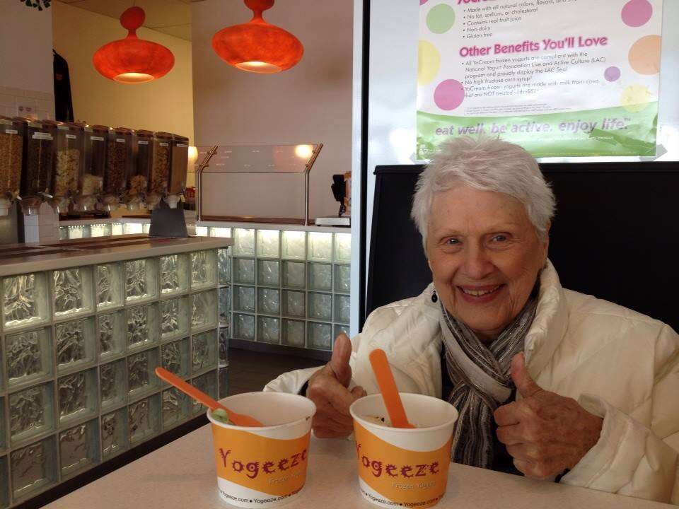 Yogeeze Frozen Yogurt | 2914 Commerce Dr, Johnsburg, IL 60051, USA | Phone: (815) 344-7932