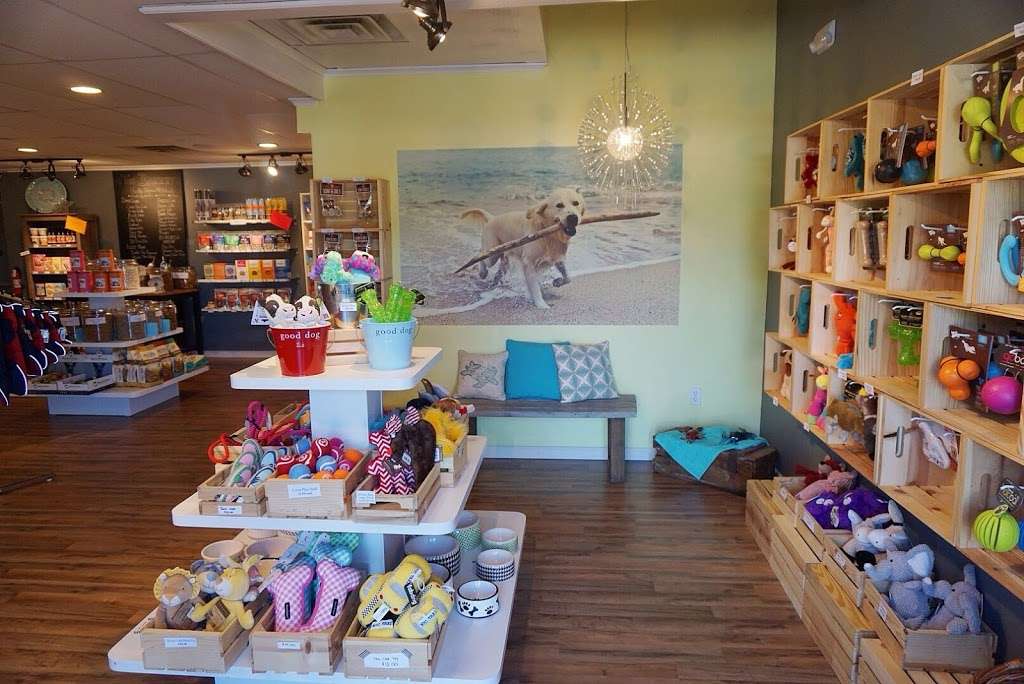 Oasis Dog Spa & Shoppe | 2911 Centre Ave Unit #2, Reading, PA 19605, USA | Phone: (610) 816-5492