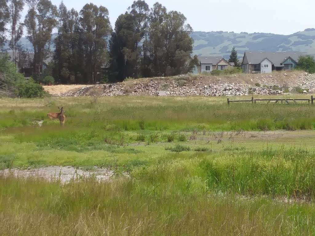 Rocky Memorial Dog Park | Casa Grande Rd, Petaluma, CA 94954, USA | Phone: (707) 565-2041