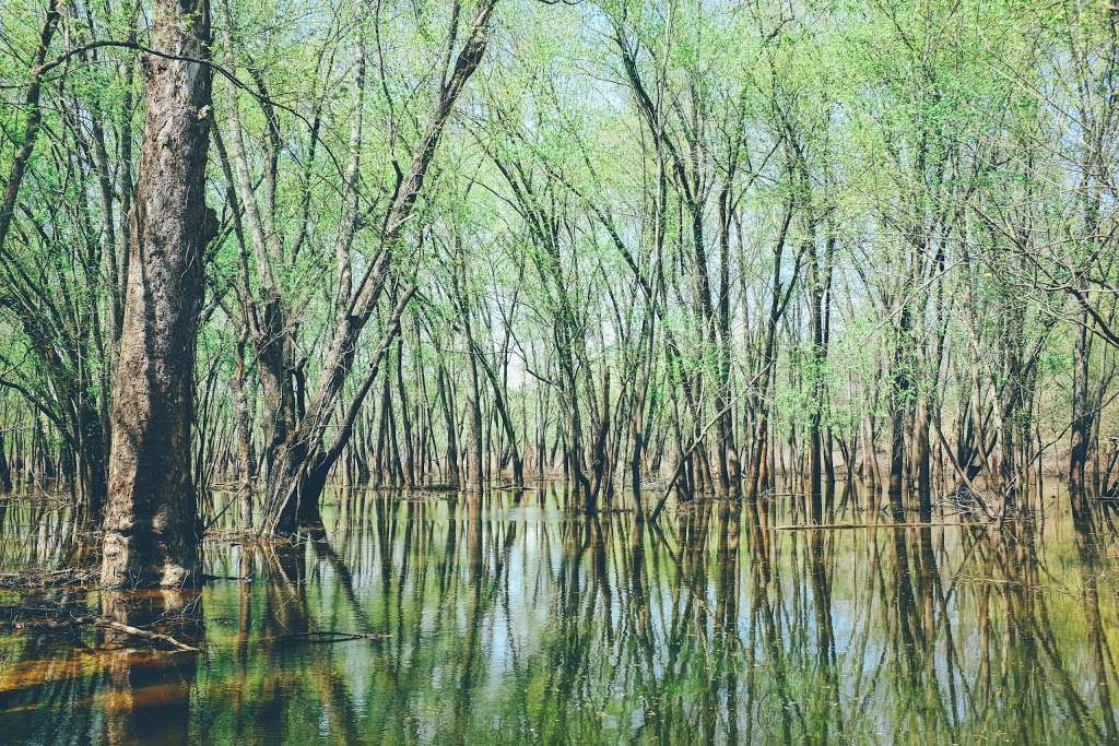 North Fork State Wildlife Refuge | Bloomington, IN 47401, USA