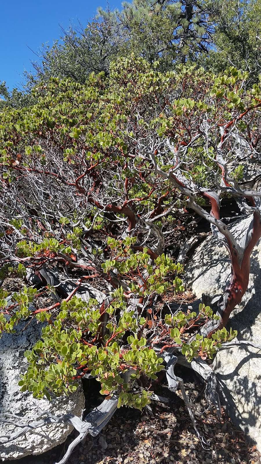 Horse Flats Boulders | Palmdale, CA 93550