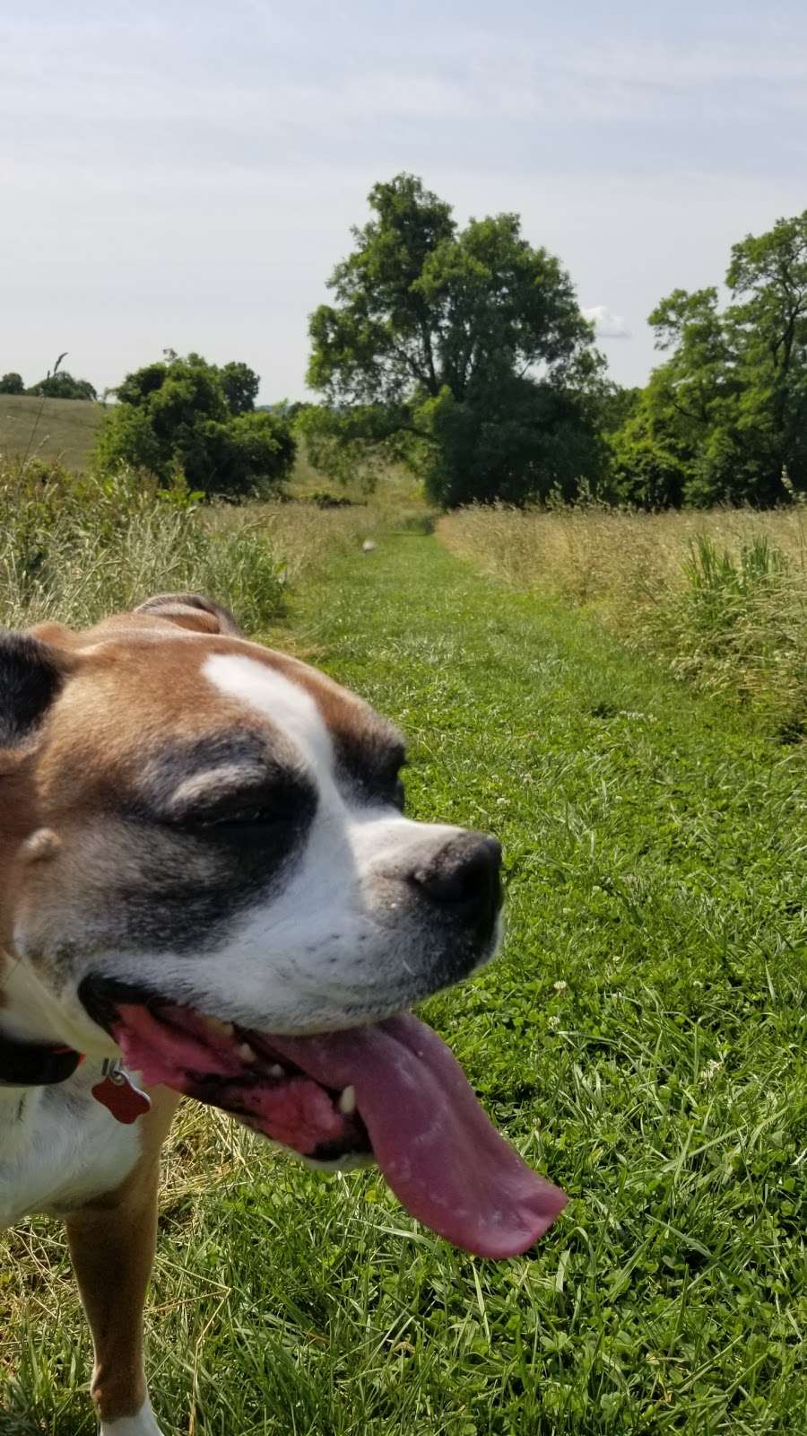 Native Lands Park | 1664 Long Level Rd, Wrightsville, PA 17368, USA | Phone: (717) 840-7440