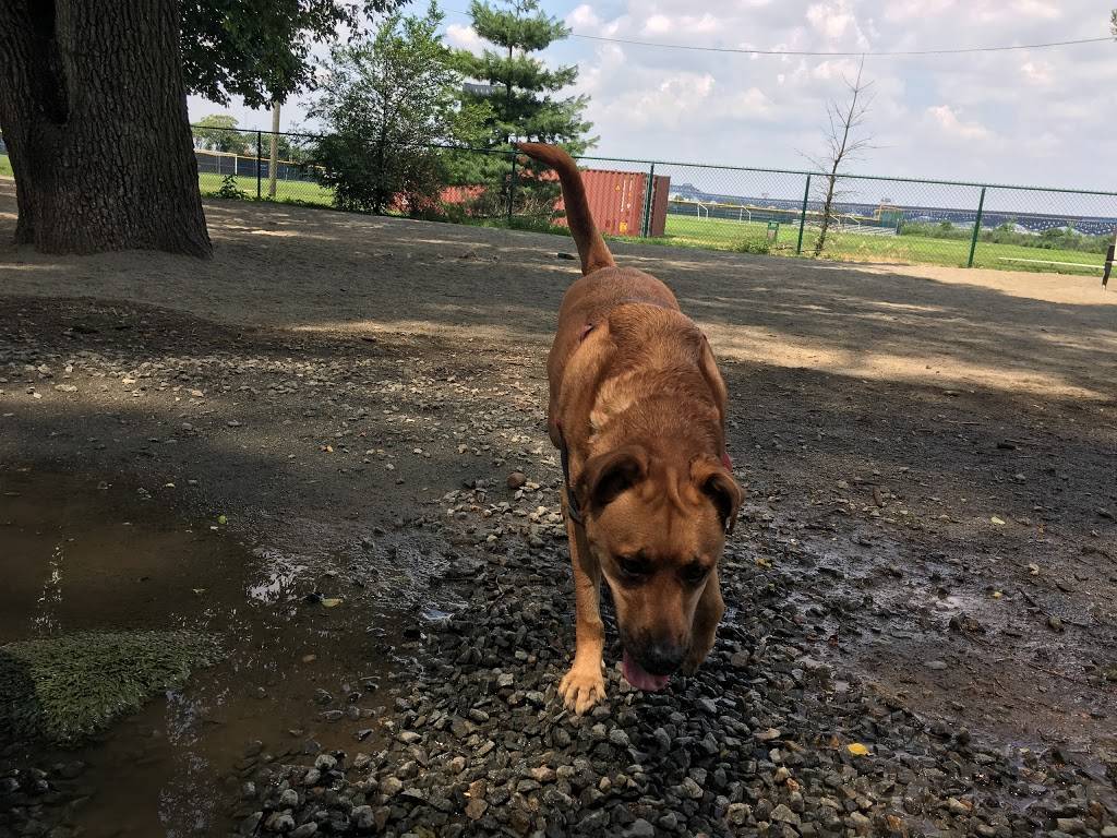 Lincoln Park Dog Run | Jersey City, NJ 07306, USA | Phone: (201) 915-1388