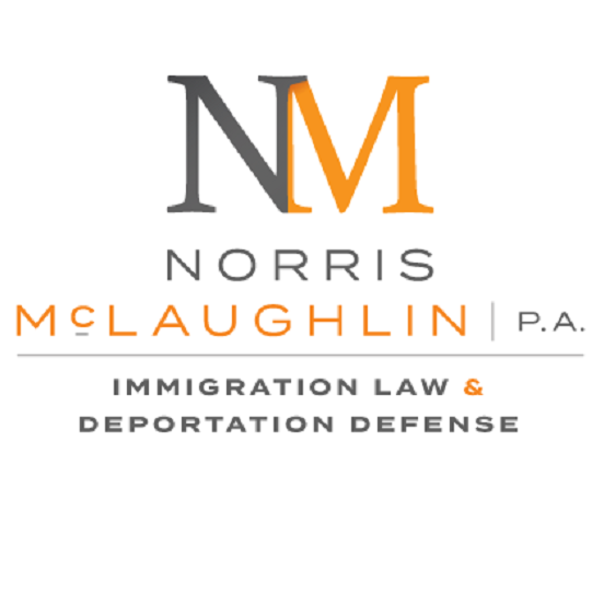 Immigration Attorney Raymond Lahoud | 28 Flintlock Ct, Basking Ridge, NJ 07920, USA | Phone: (888) 440-4872