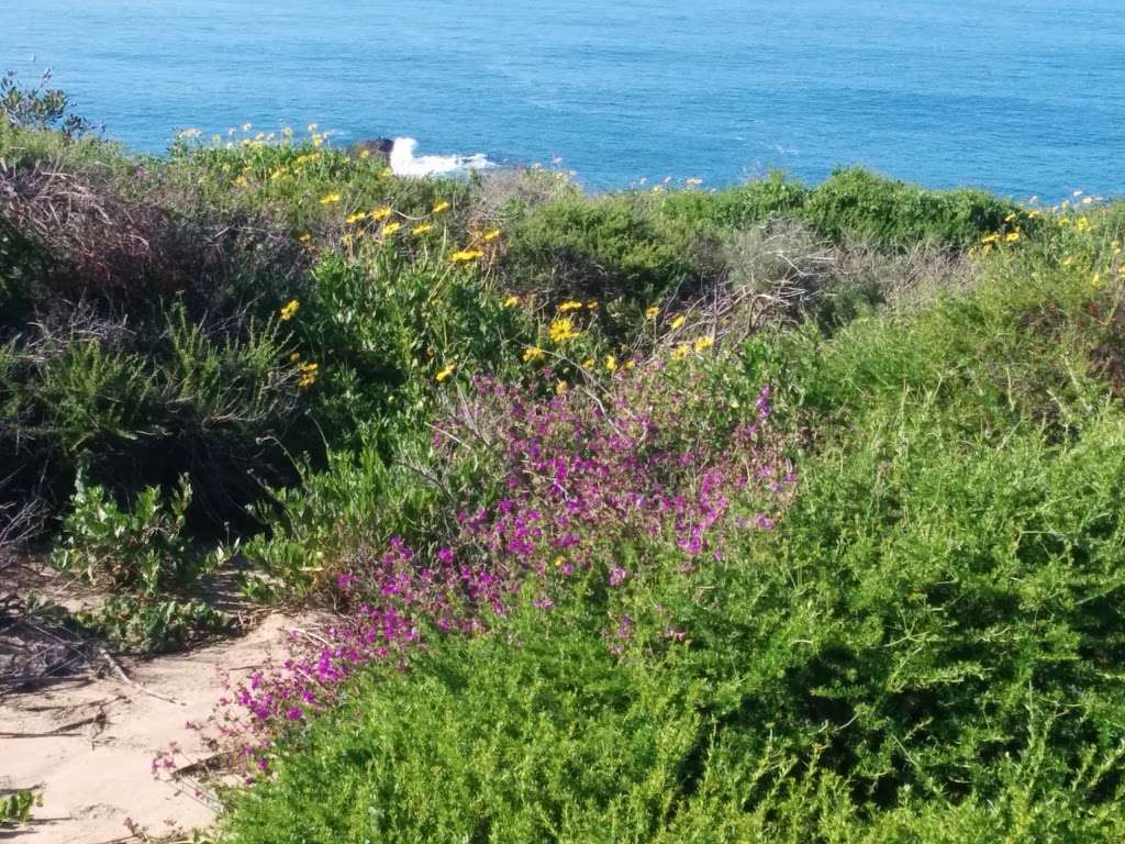 Dana Point Hilltop Park | 34392 Street of the Green Lantern, Dana Point, CA 92629 | Phone: (949) 248-3530