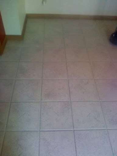 Got Spots Carpet and Tile | 9351 S 43rd St, Franklin, WI 53132 | Phone: (414) 501-4354
