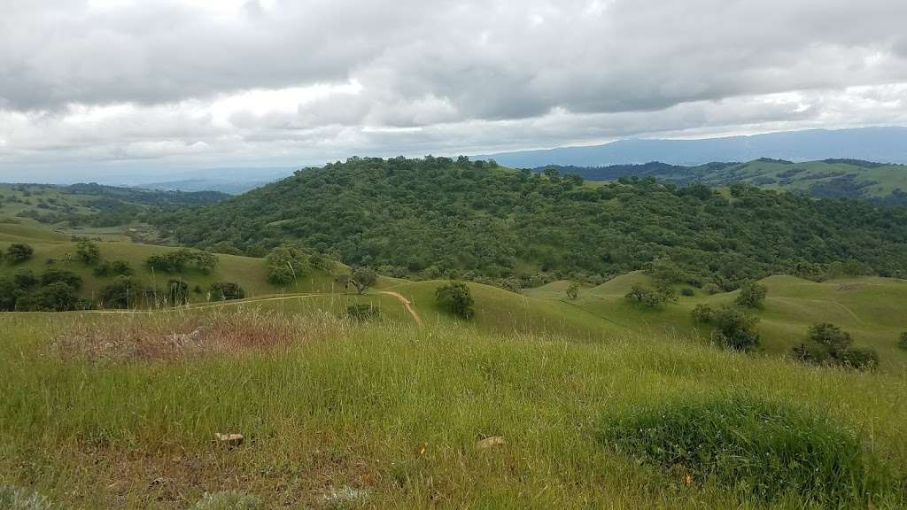 Joseph D. Grant County Park | 18405 Mt Hamilton Rd, Mt Hamilton, CA 95140, USA | Phone: (408) 274-6121