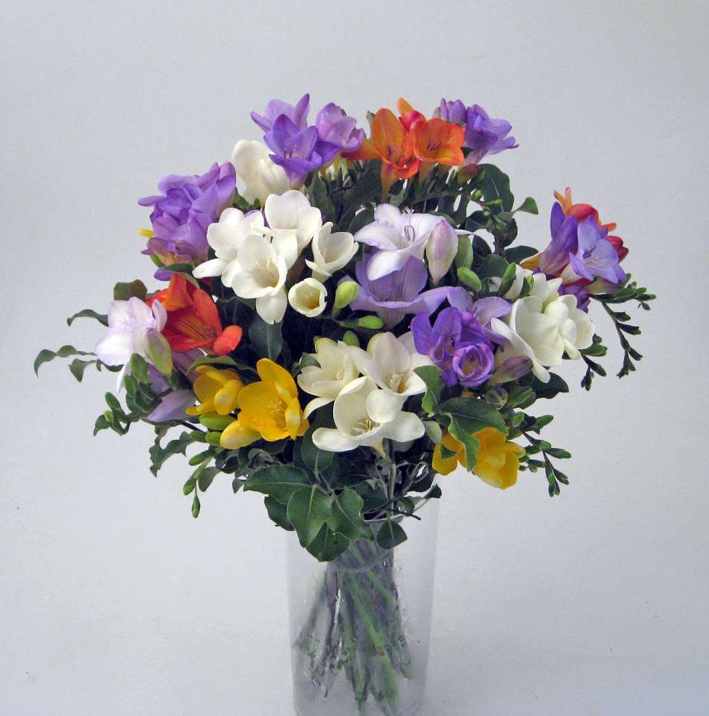Designer Flowers | Westhumble Street, Westhumble, Dorking RH5 6BT, UK | Phone: 0800 138 2820