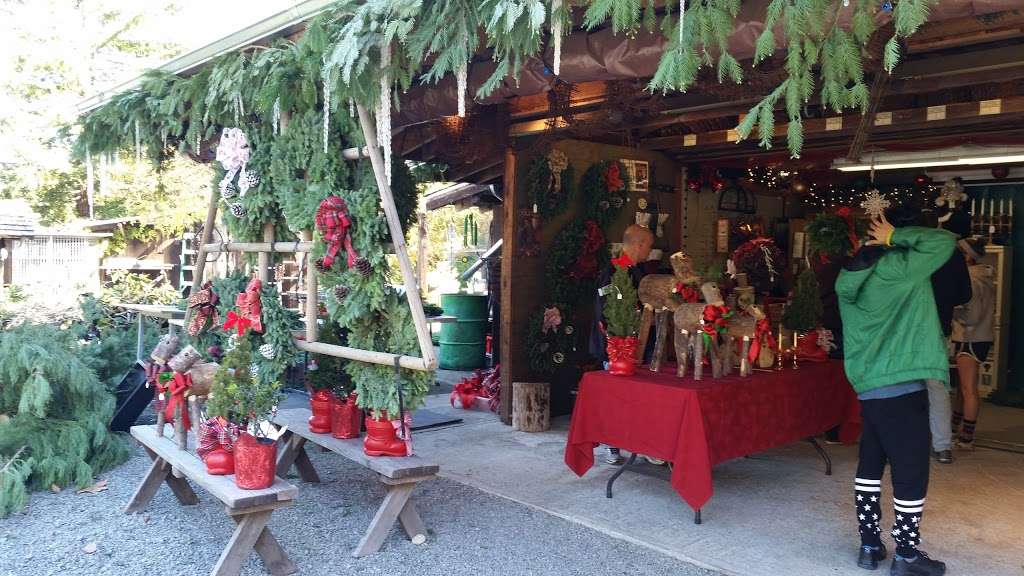 Patchen Old Town Christmas Tree Farm | 22217 Old Santa Cruz Highway, Los Gatos, CA 95033, USA | Phone: (408) 353-0015