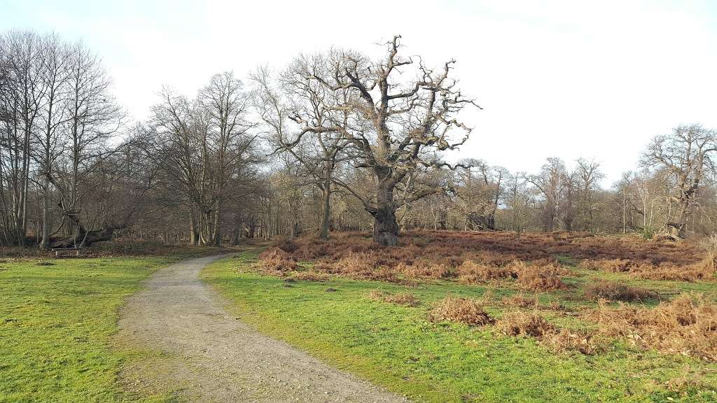 Cobham Wood and Mausoleum | Rochester DA12 3BS, UK | Phone: 01474 816764