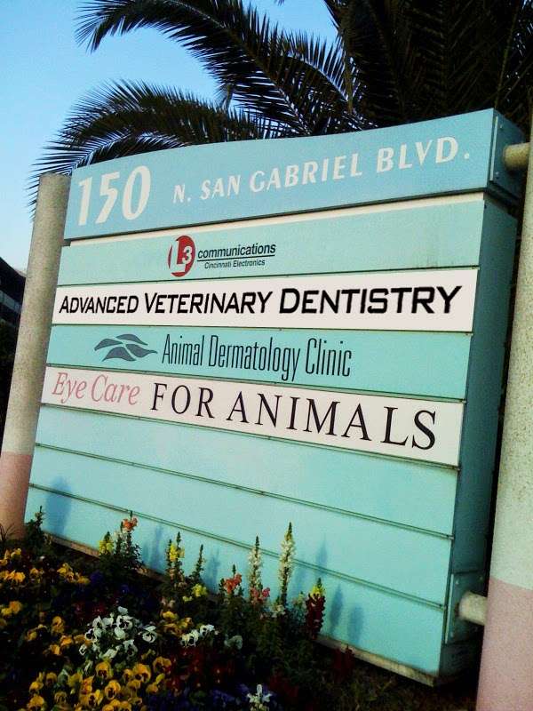 Advanced Veterinary Dentistry | 150 N San Gabriel Blvd, Pasadena, CA 91107 | Phone: (626) 356-3110