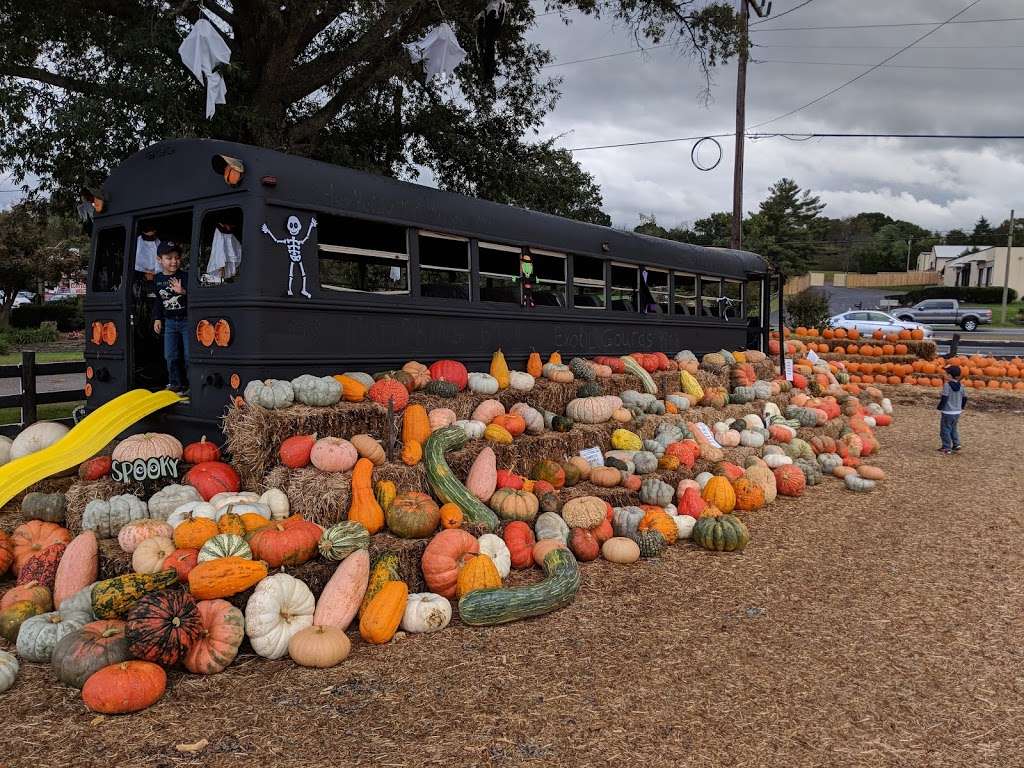 Meadows Farms Nurseries & Landscaping | 5074 Lee Hwy, Warrenton, VA 20187 | Phone: (540) 341-0020