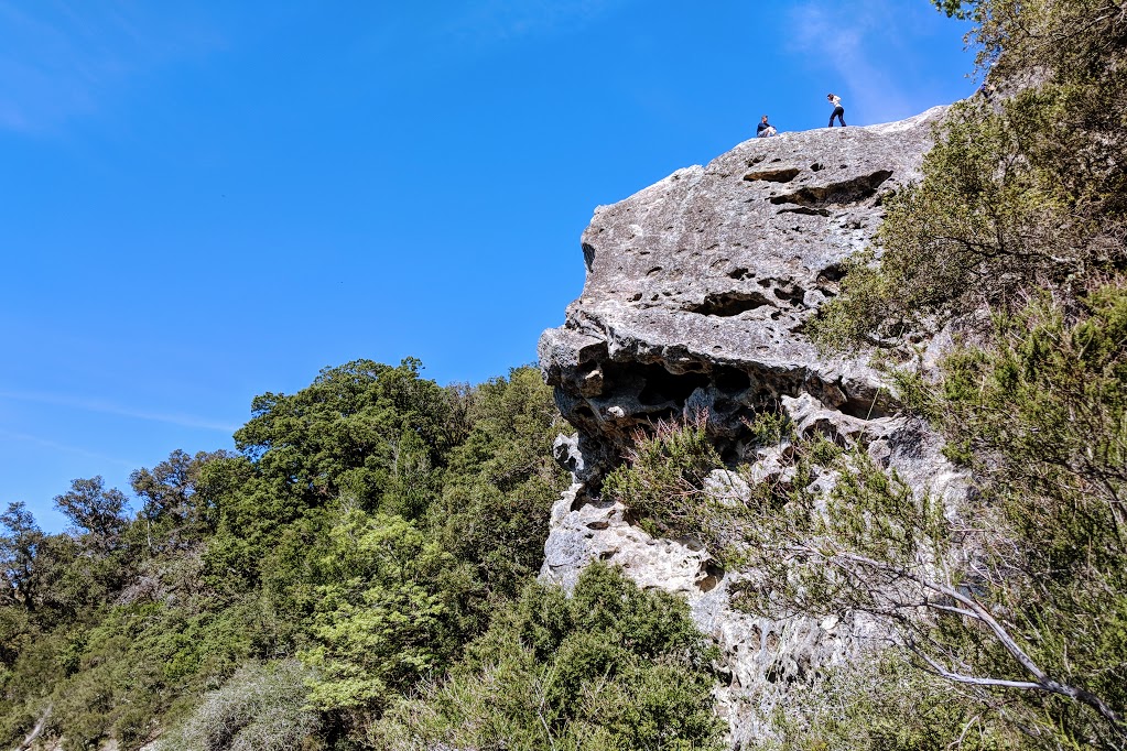 Castle Rock State Park | 15000 Skyline Blvd, Los Gatos, CA 95033, USA | Phone: (408) 867-2952