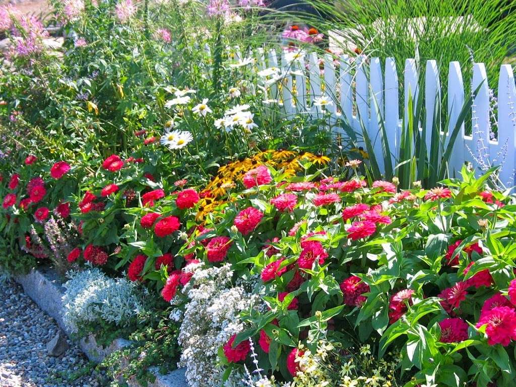 Cottage Gardening, INC. | 4 Pigeon Ln, Gloucester, MA 01930 | Phone: (978) 282-1508