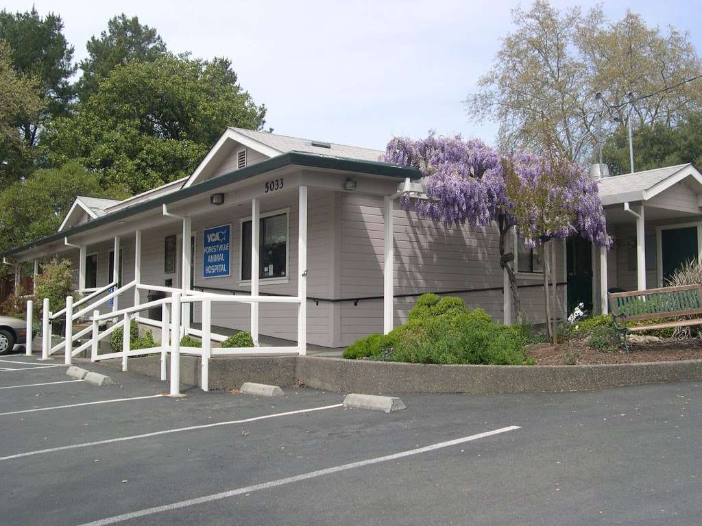 VCA Forestville Animal Hospital | 5033 Gravenstein Hwy N, Sebastopol, CA 95472, USA | Phone: (707) 887-2261