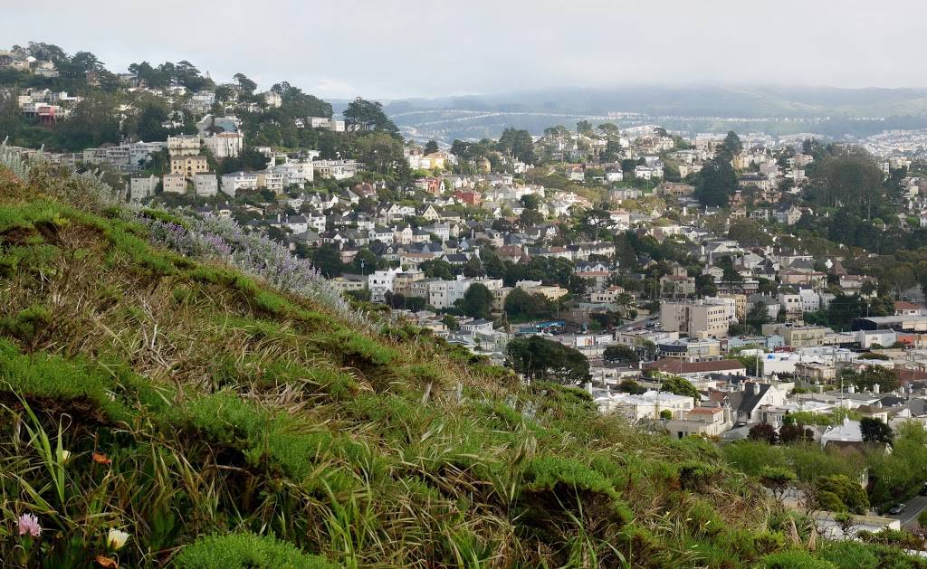 Hawk Hill Park | 14th Ave & Rivera St, San Francisco, CA 94116 | Phone: (415) 831-2700