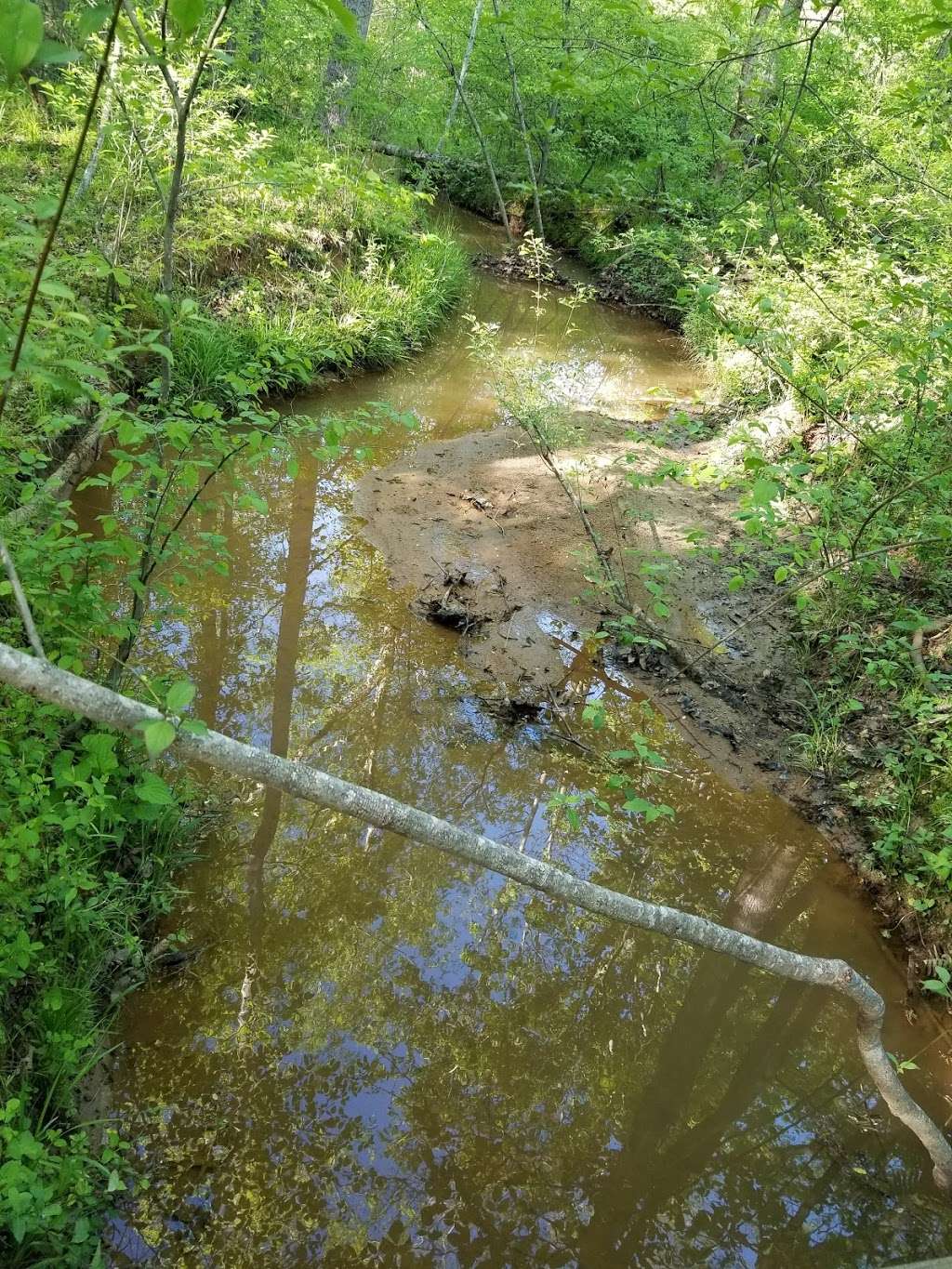 West Branch Nature Preserve | 18232 Shearer Rd, Davidson, NC 28036, USA