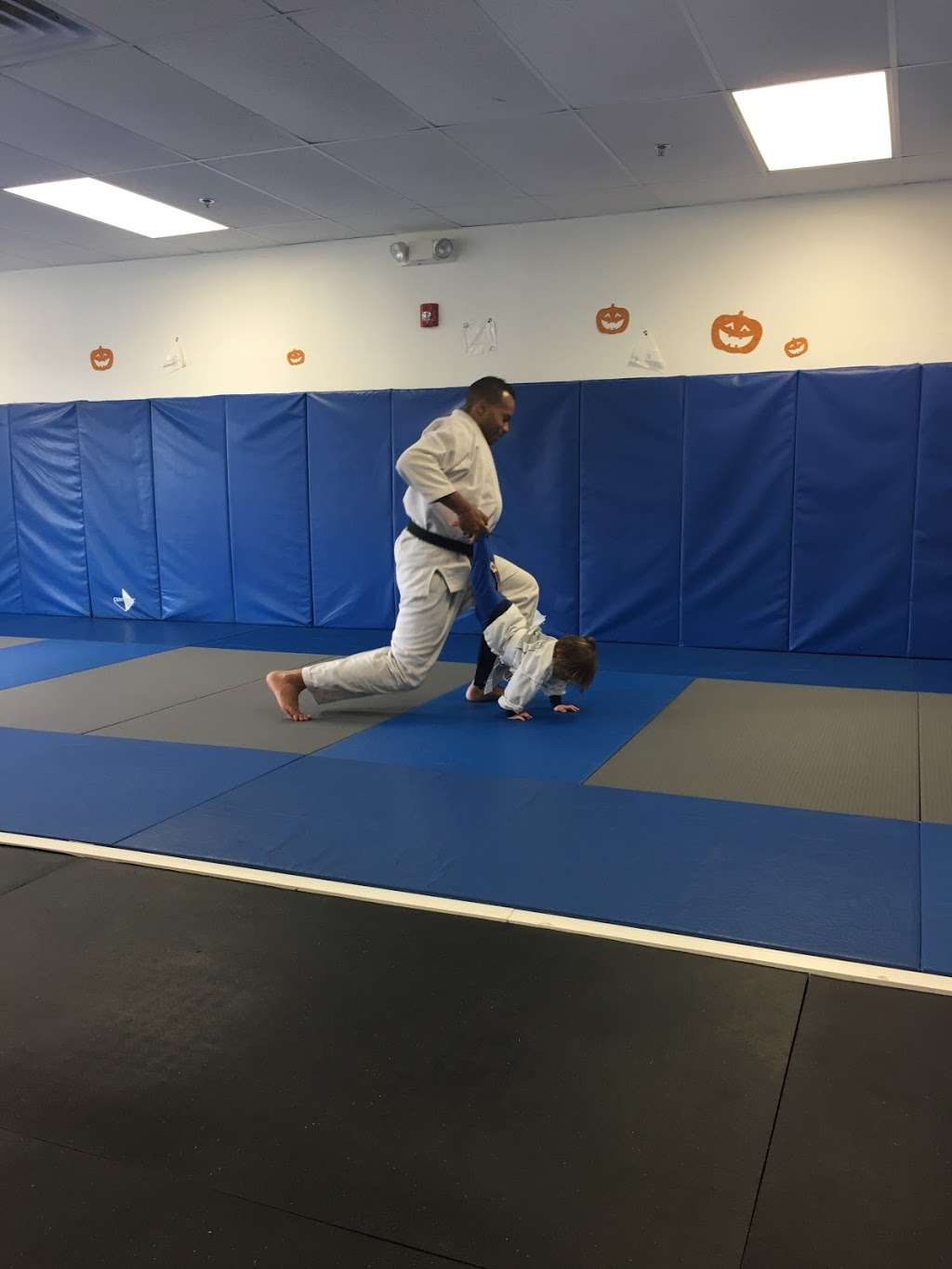 Gym-Jitsu Martial Arts | 156 Algonquin Pkwy, Whippany, NJ 07981, USA | Phone: (973) 587-2062