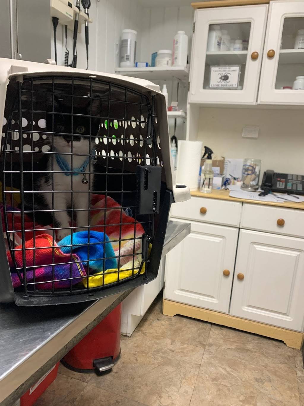 Al-Lynn Animal Hospital | 6904 Allentown Rd, Temple Hills, MD 20748, USA | Phone: (301) 449-8822