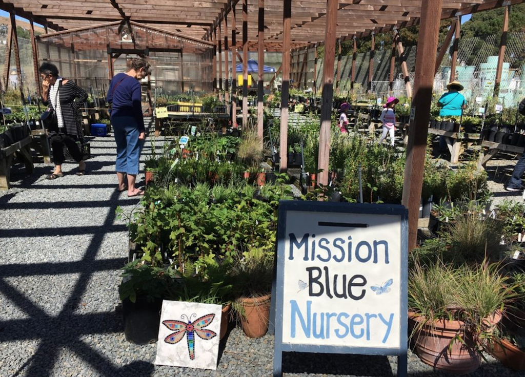 Mission Blue Nursery | 1 Mountain Flora Parkway, Brisbane, CA 94005, USA | Phone: (415) 467-6631