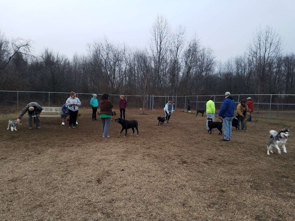 Deptford Doggie Park | 505 Deptford Ave, Westville, NJ 08093, USA