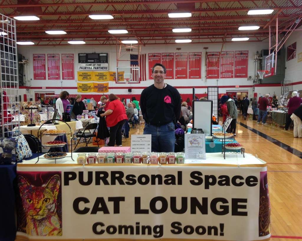 PURRsonal Space - SJs 1st Cat Lounge | 1005 Market St, Palmyra, NJ 08065, USA | Phone: (856) 786-7877