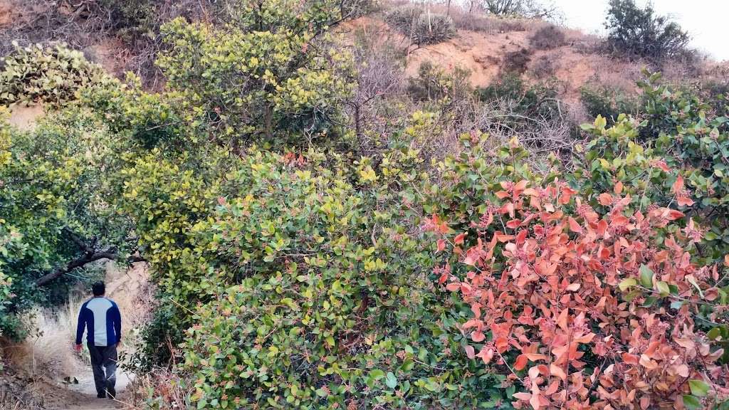 Walnut Canyon Reservoir | Periphery Rd, Anaheim, CA 92807, USA