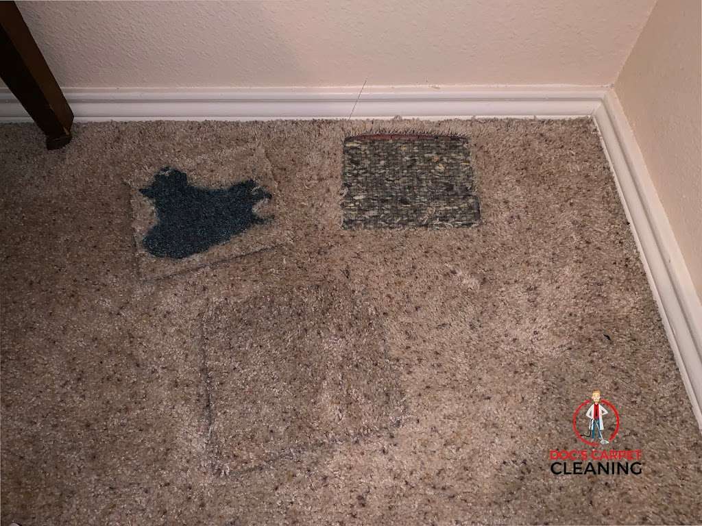 Docs Carpet Cleaning - San Antonio | san antonio, TX, USA | Phone: (210) 900-8659