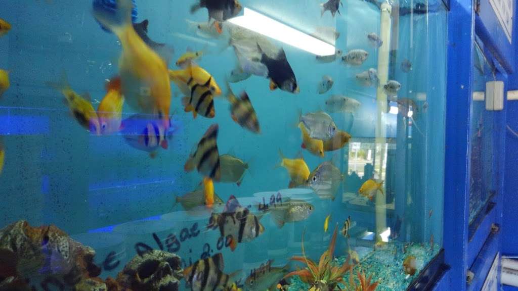 Aqua Mart Aquariums | 1620 S Washington Ave, Titusville, FL 32780, USA | Phone: (321) 268-2772