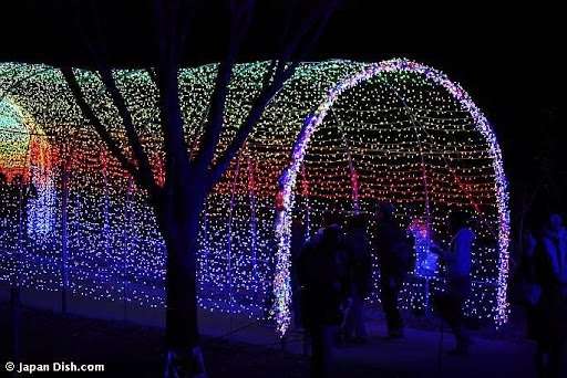 Christmas Lights Etc. | 1621 30th St N, Texas City, TX 77590 | Phone: (832) 665-9389