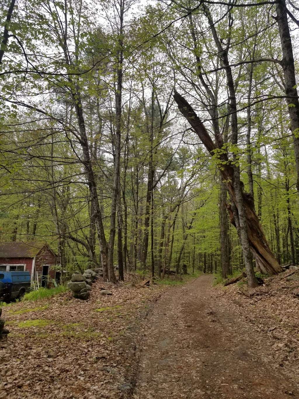 Spalding Park Town Forest | Hollis, NH 03049, USA