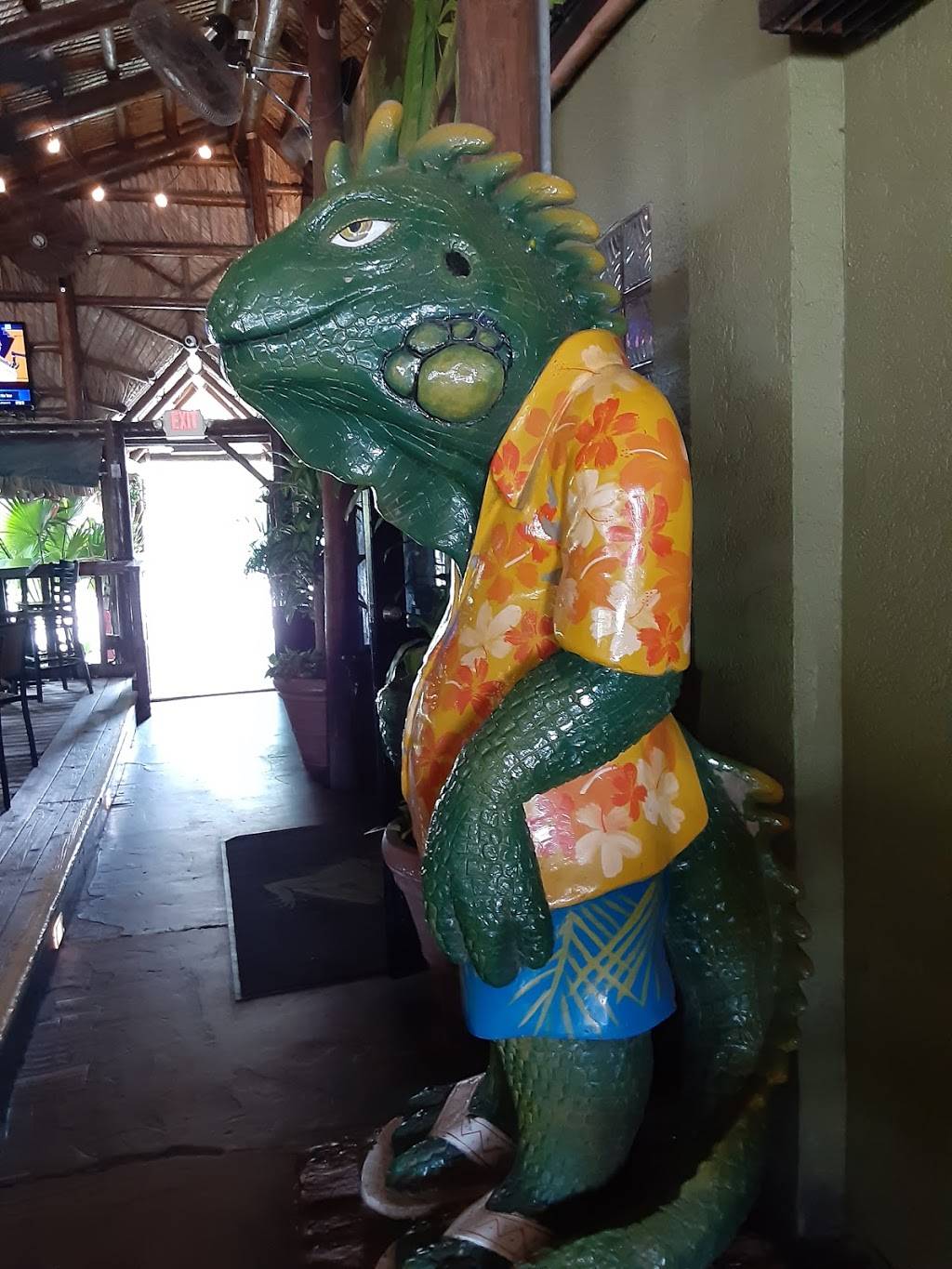 Green Iguana Bar & Grill | 4029 S West Shore Blvd, Tampa, FL 33611, USA | Phone: (813) 837-1234
